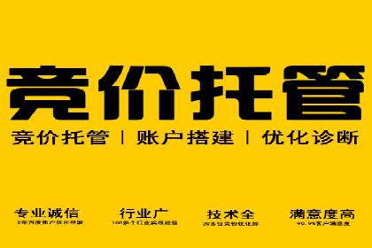 百度SEO推广实战案例：提升网站排名